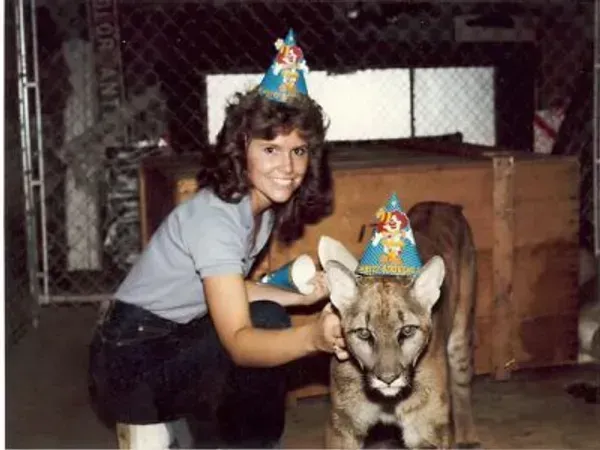Woman with a mountain lion, both wearing party hats. They are in a caged area, woman smiles, petting the lion.