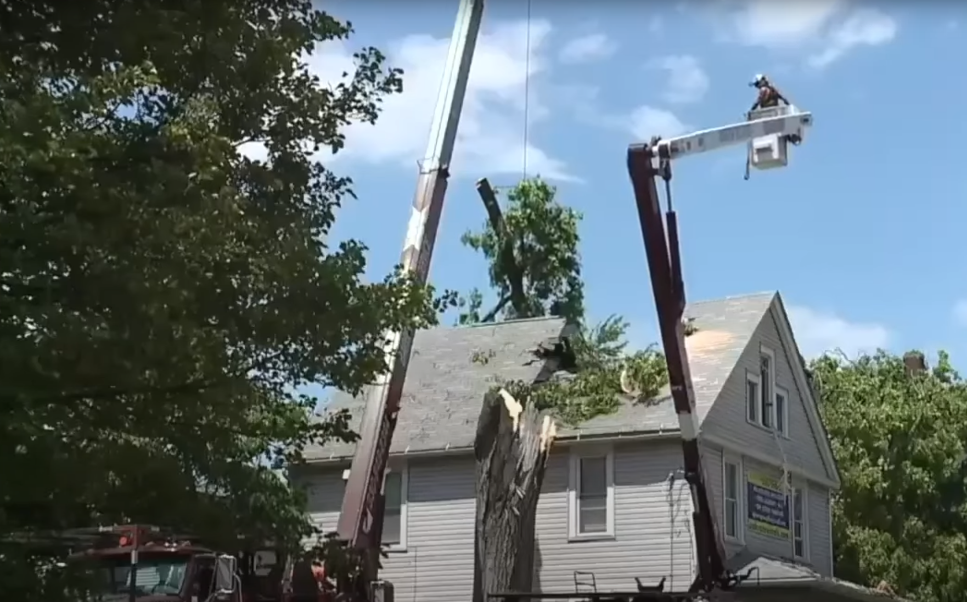 Natick Tree Removal | (508) 794-8889 | Natick, MA