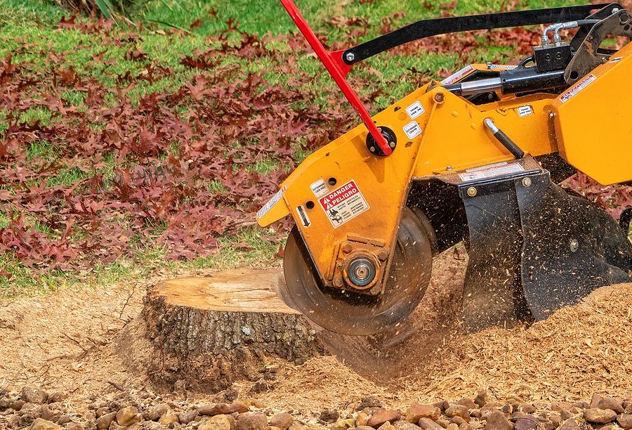 Natick Tree Removal | (508) 794-8889 | Stump Grinding