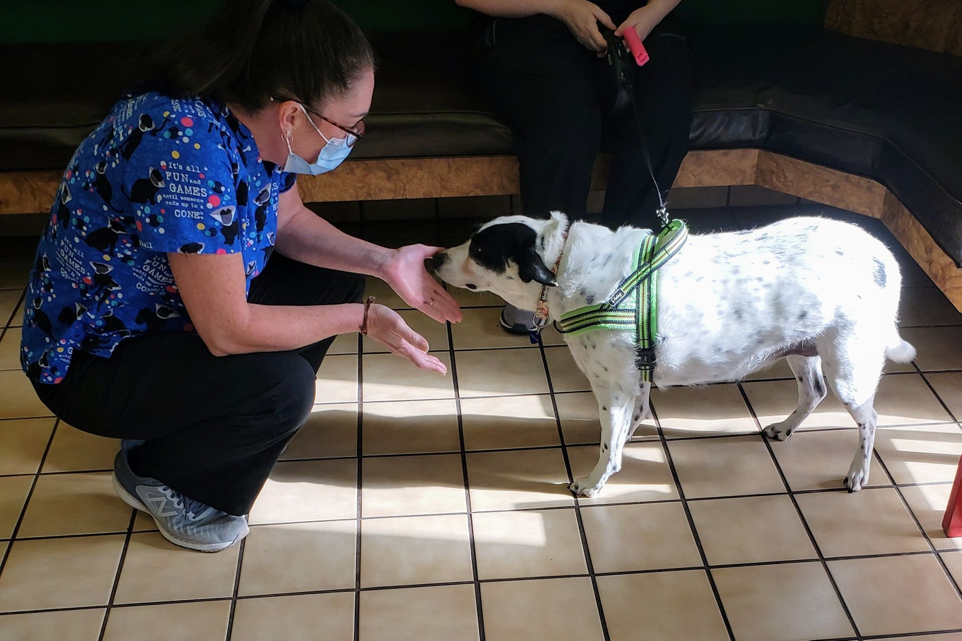 A woman wearing a mask is kneeling down next to a dog.