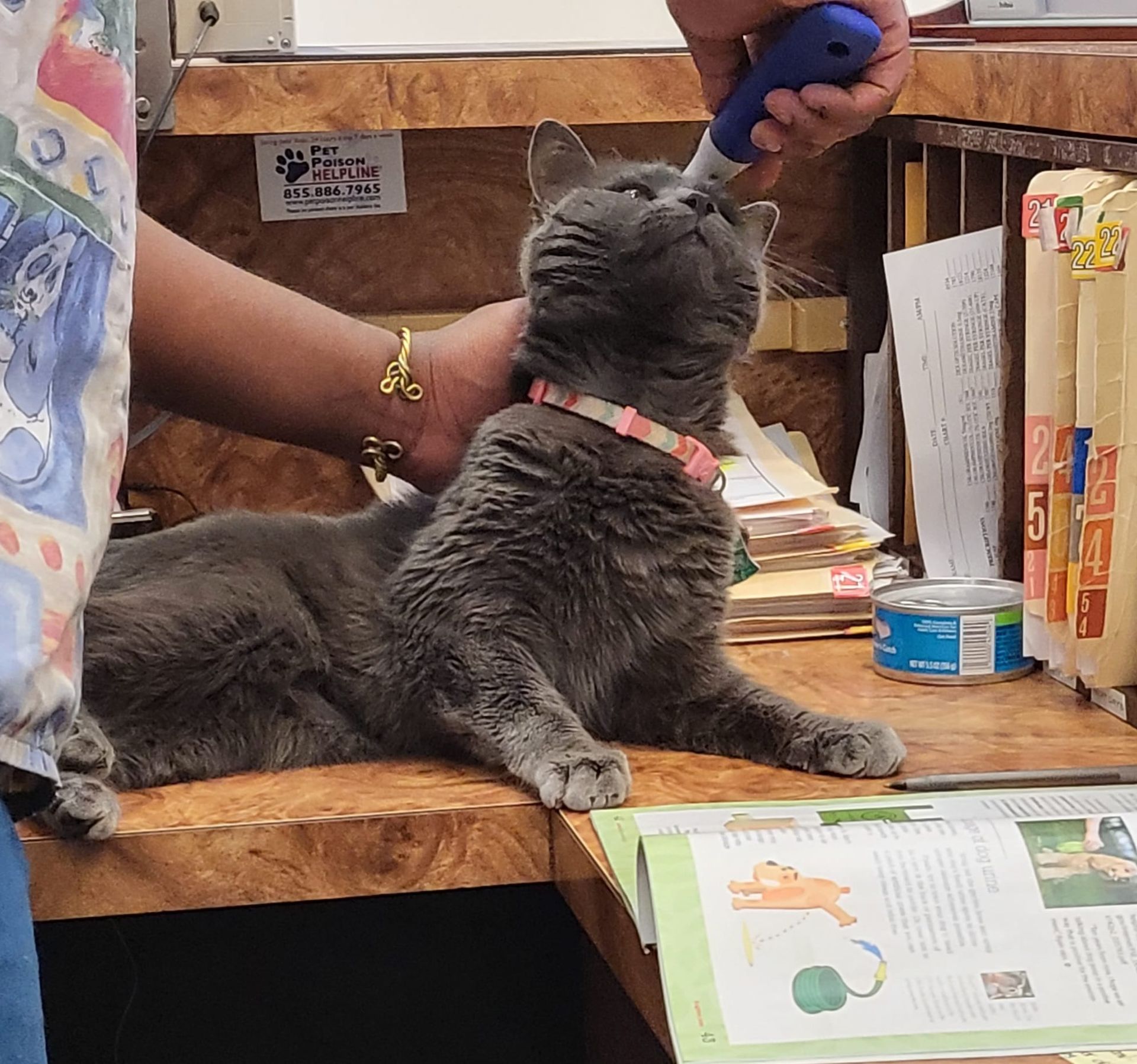 A cat laying on a desk with a person holding a screwdriver
