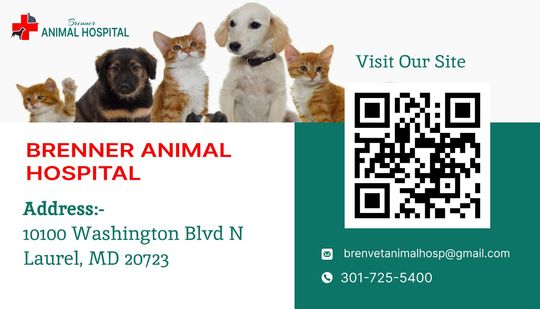 A business card for brenner animal hospital with a qr code