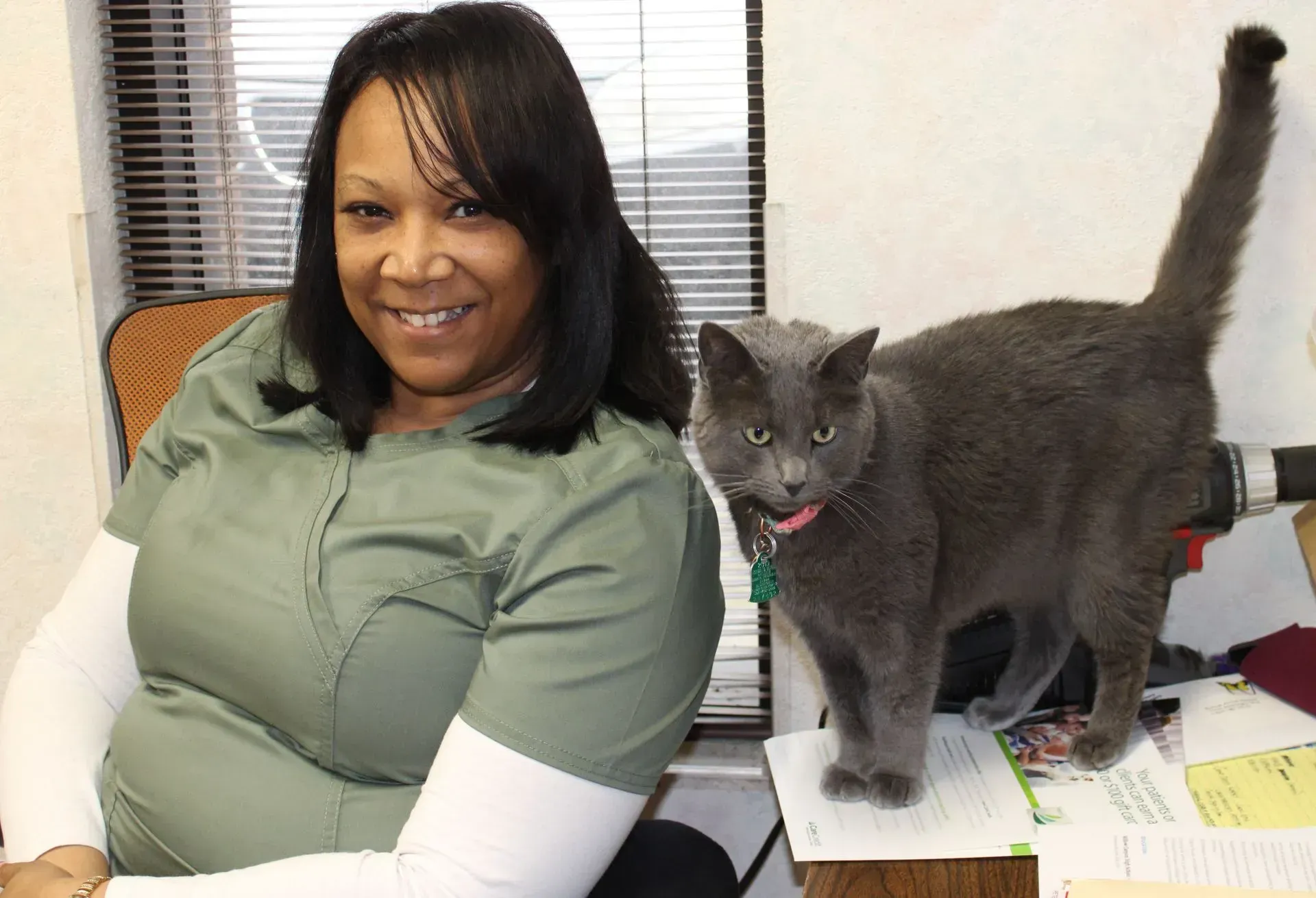 A woman is sitting at a desk next to a gray cat