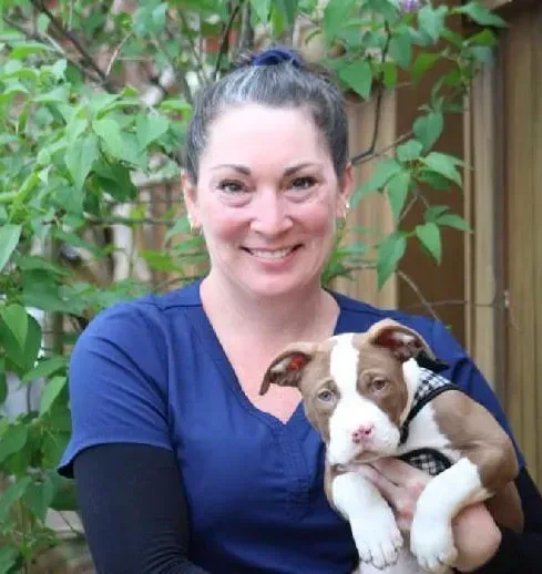 A woman in a blue shirt is holding a brown and white puppy