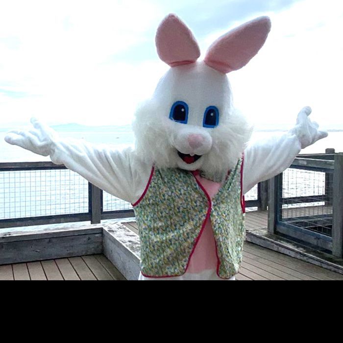 Bella the Easter Bunny