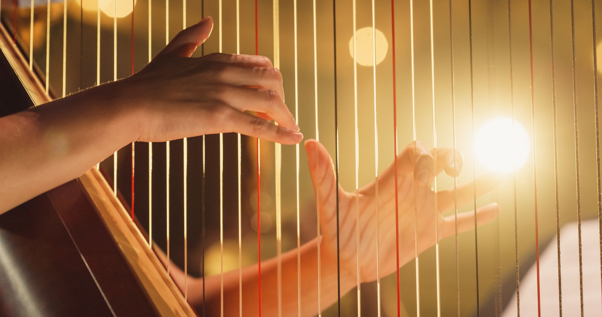 Harpists