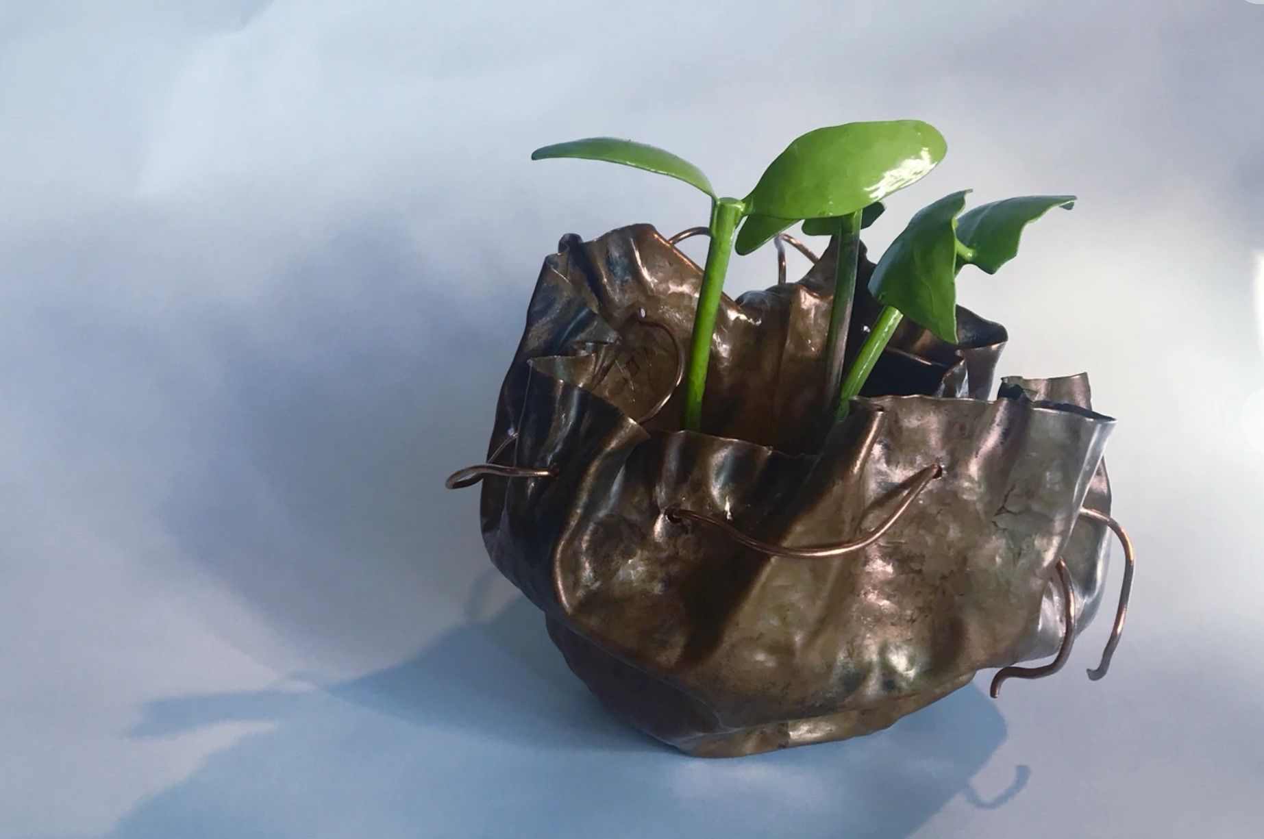 A small plant is growing out of a brown bag