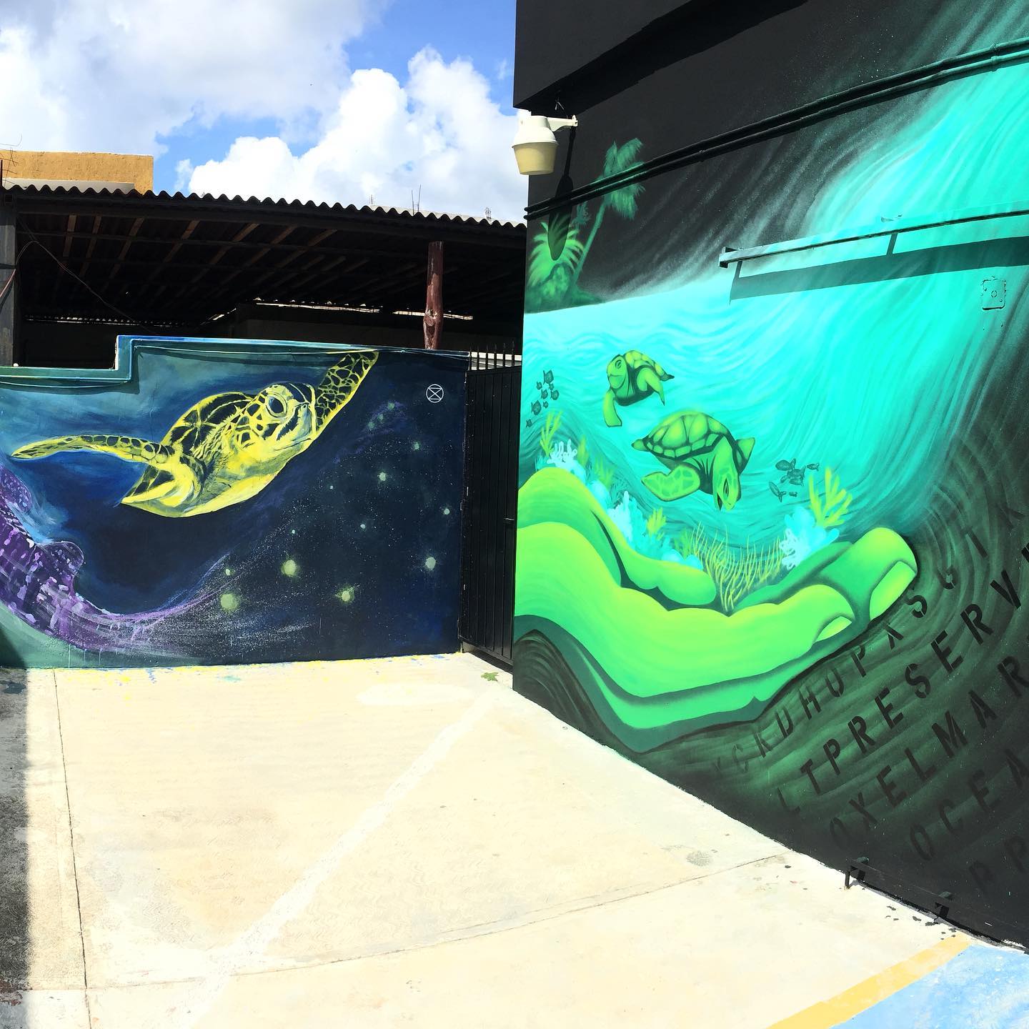 A mural of a sea turtle is painted on the side of a building