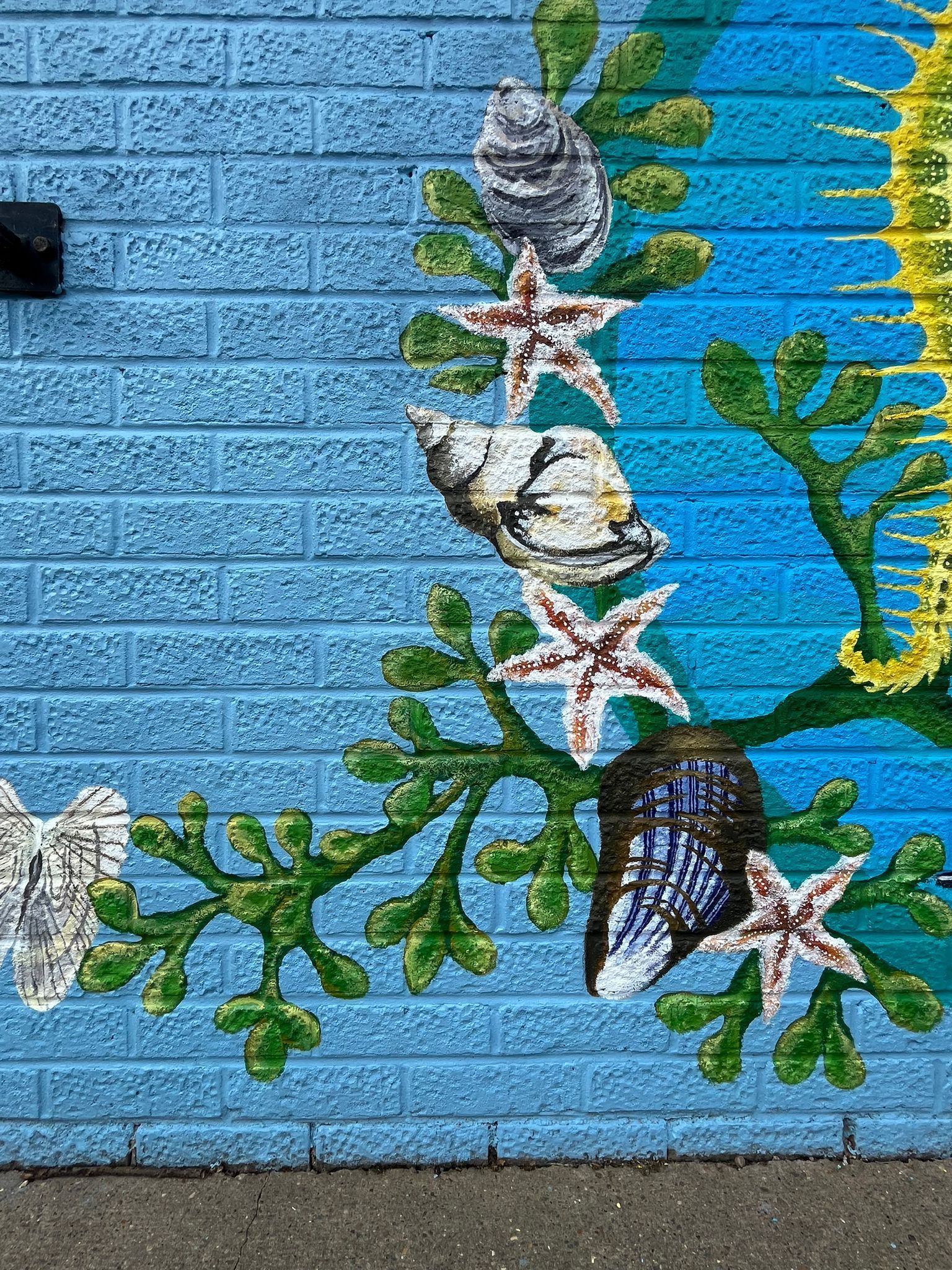 A mural of seashells , starfish , and seahorses on a blue brick wall.