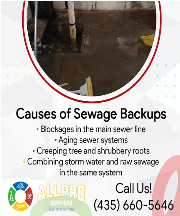 Causes of sewage back up. All Pro Services the premier Utah Sewage Cleanup company
