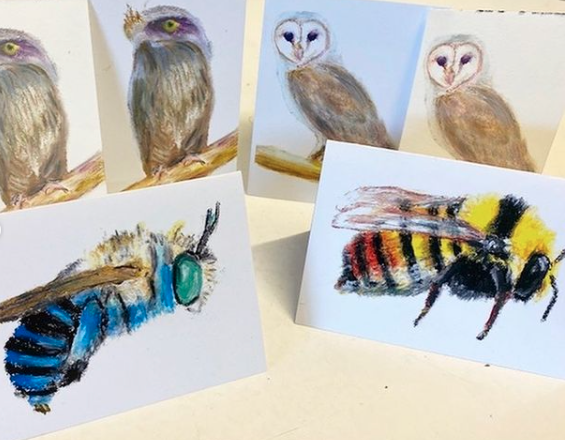 Animal Art Prints — Printing Services in the Byron Bay Region, NSW