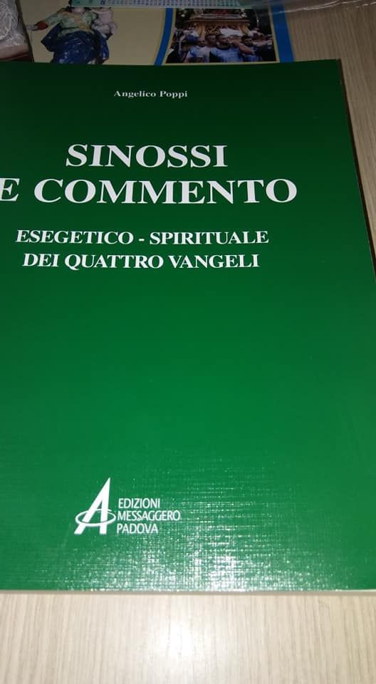 libro sinossi commento