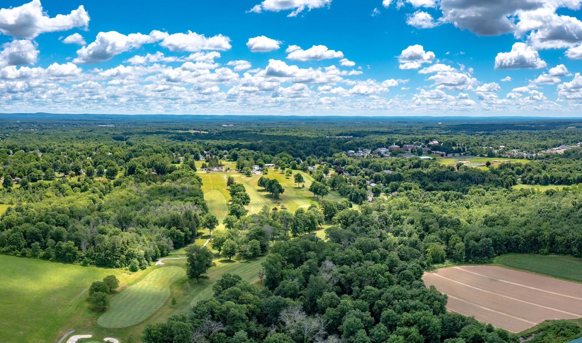 An aerial view of a lush green forest with a field in the foreground.