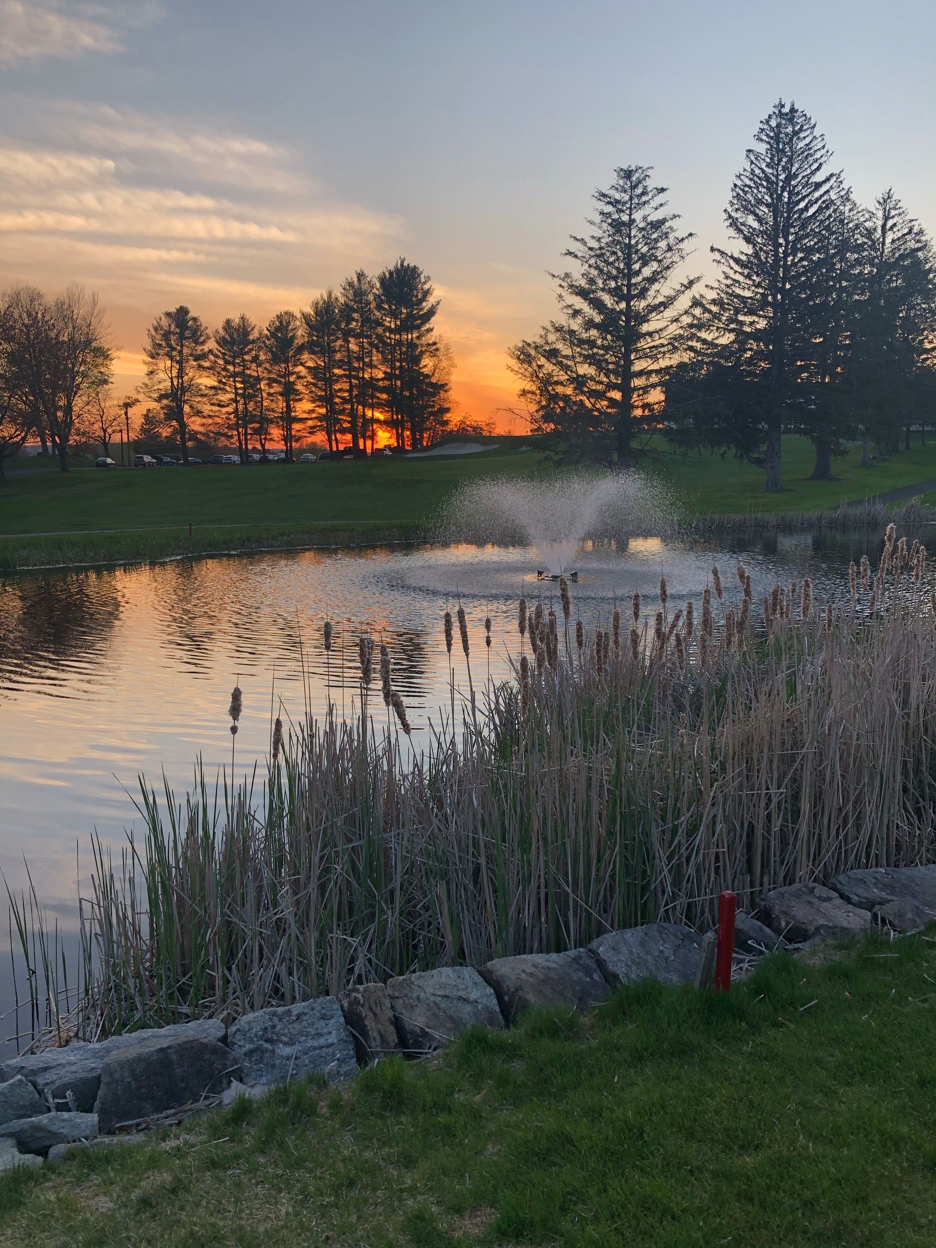 Close-up of hands arranging Polish 100 złoty banknotes tucked into a notebook on a desk with blurred warm lighting.