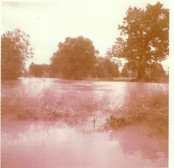 A painting of a flooded field with trees in the background