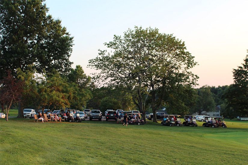 A row of golf carts are parked in a grassy field.