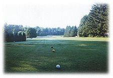 A golf ball is sitting on the green of a golf course.