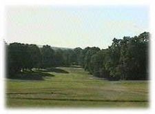 A golf course surrounded by trees on a sunny day.