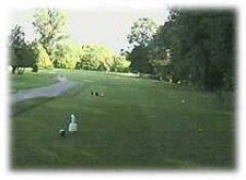A golf course with trees in the background and a golf ball in the foreground.