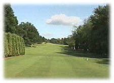 A golf course with trees and a blue sky in the background.