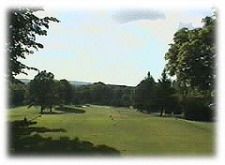 A golf course with trees and a blue sky in the background