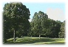 A picture of a park with trees and grass on a sunny day.
