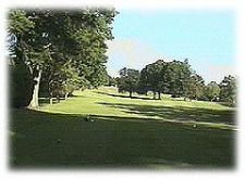 A golf course with trees and grass on a sunny day.