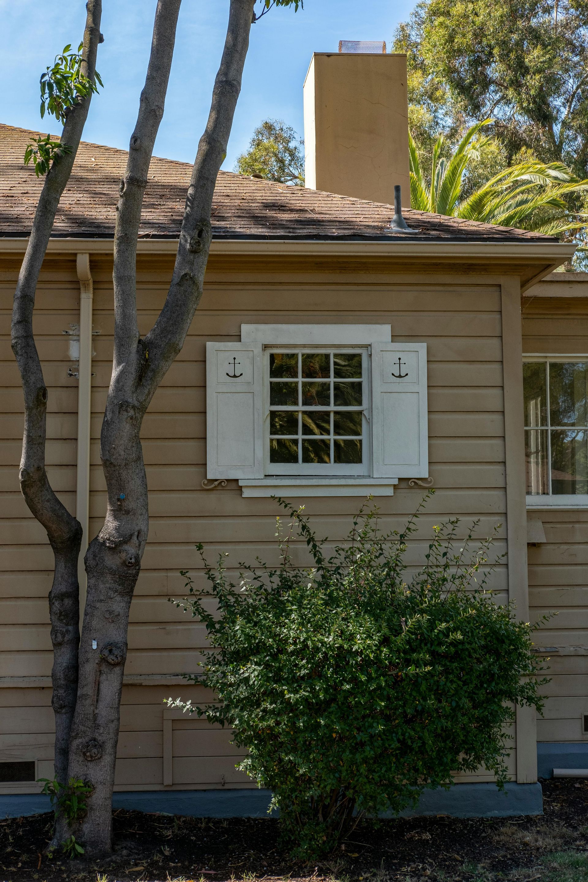 A house with a tree in front of it and a window with white shutters