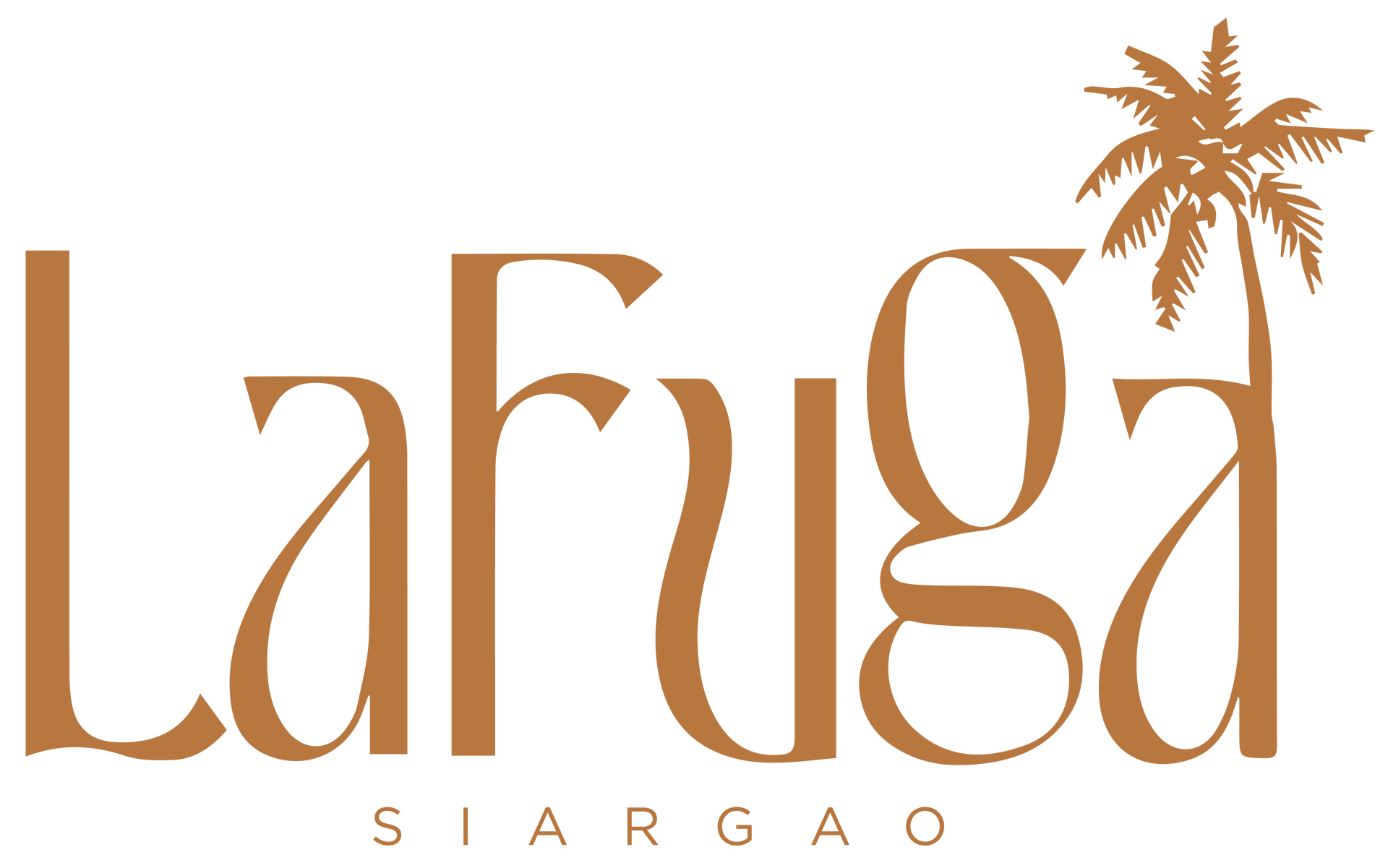 A white background with a few lines on it