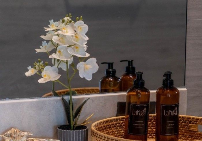 A bathroom with a plant , soap bottles , and a mirror.