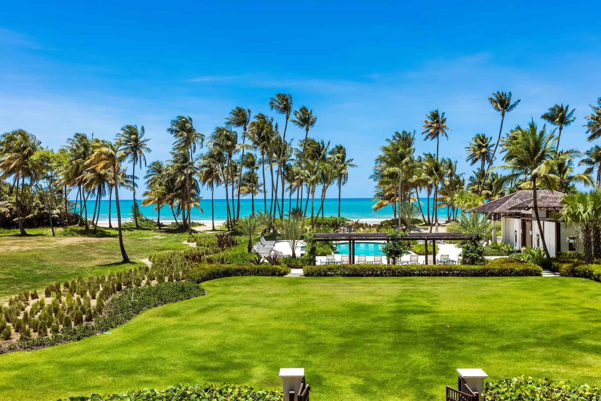 A large lush green field with palm trees and a pool in the background.