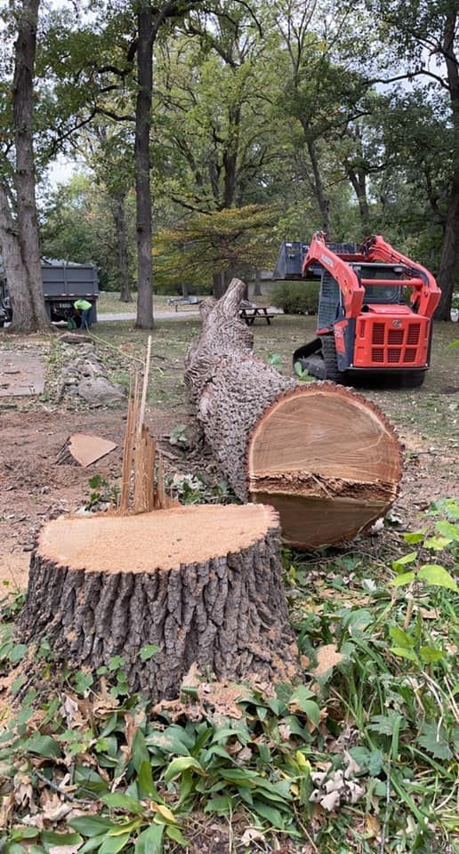 A man is cutting a tree branch with a chainsaw.