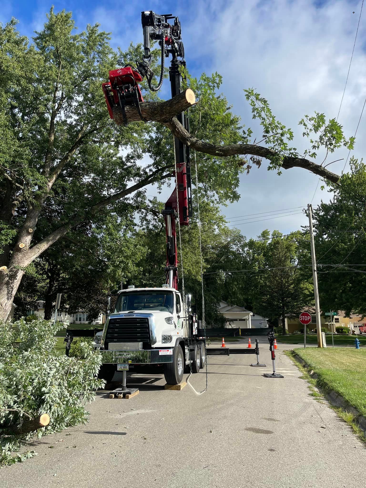 A man is cutting a tree stump with a chainsaw.