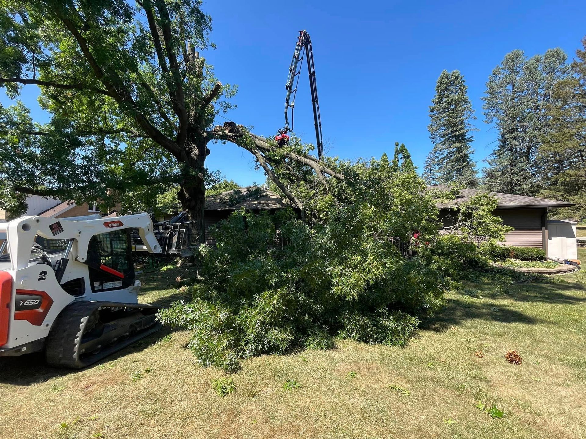 A man is cutting a tree branch with a chainsaw.