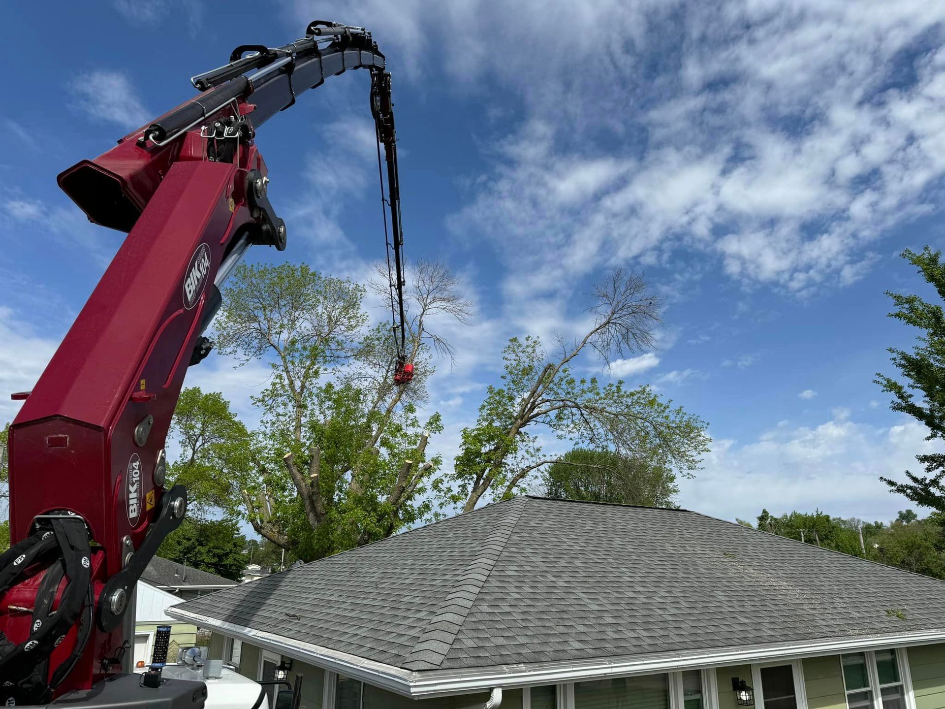 A man is cutting a tree branch with a chainsaw.