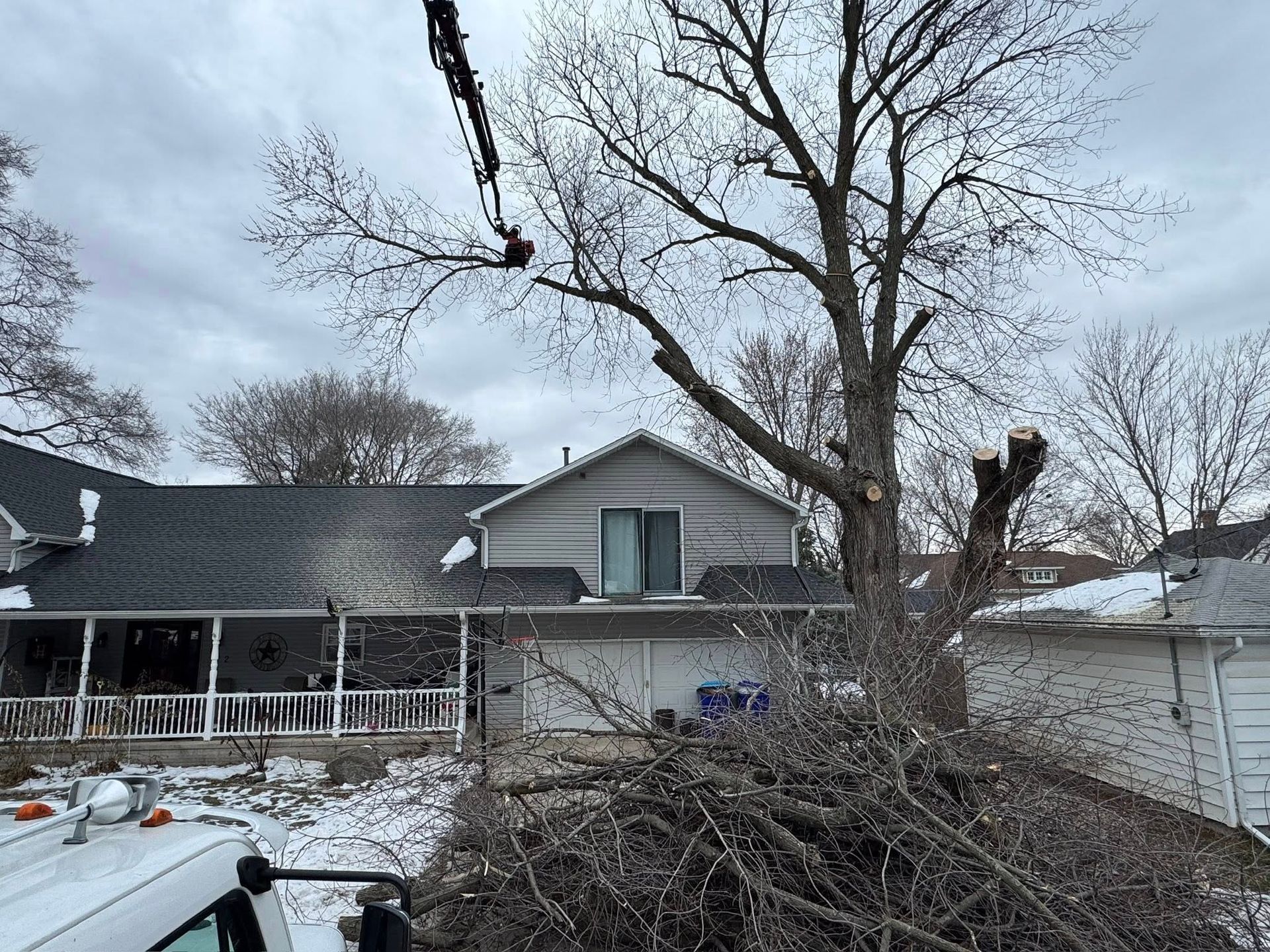 Tree being trimmed near a house with snow on the ground; branches are piled below.