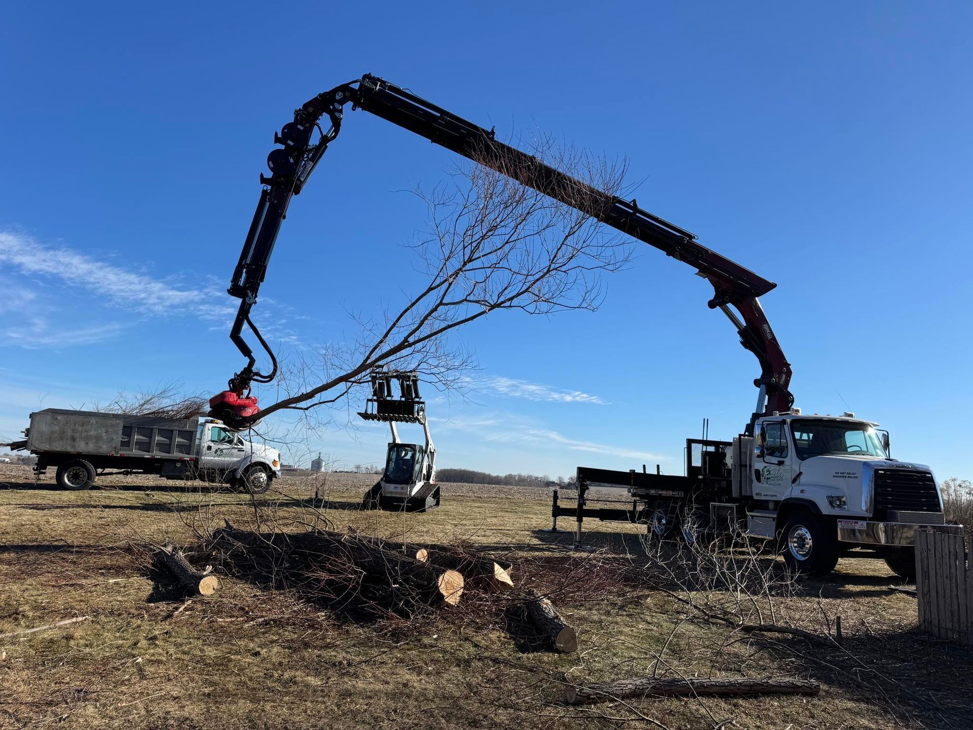 A large truck with an articulated arm is cutting a tree, loading it into a dump truck, outdoors on a sunny day.