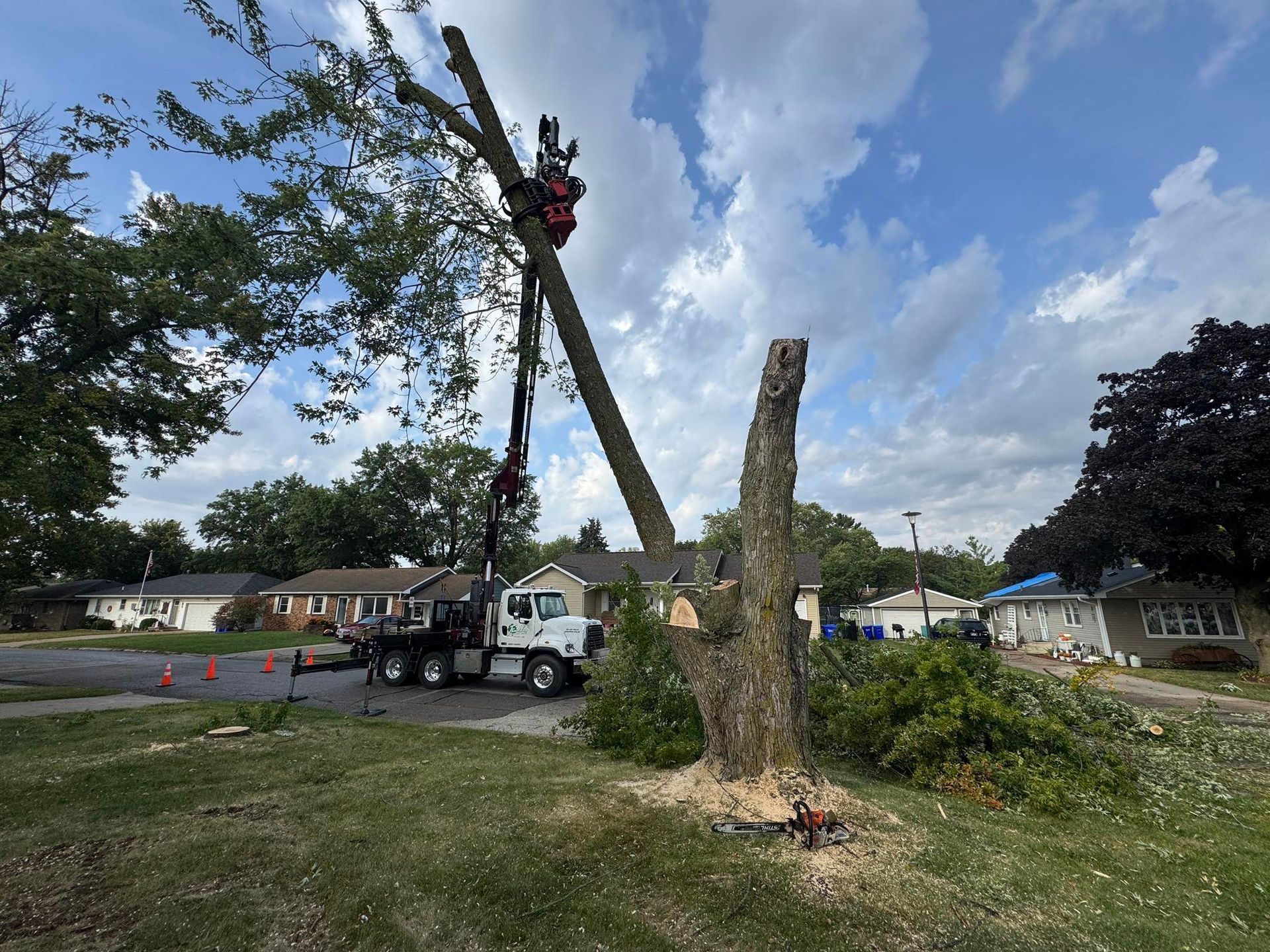 Tree removal in residential area; a truck with a crane cuts down a tree against a cloudy sky.