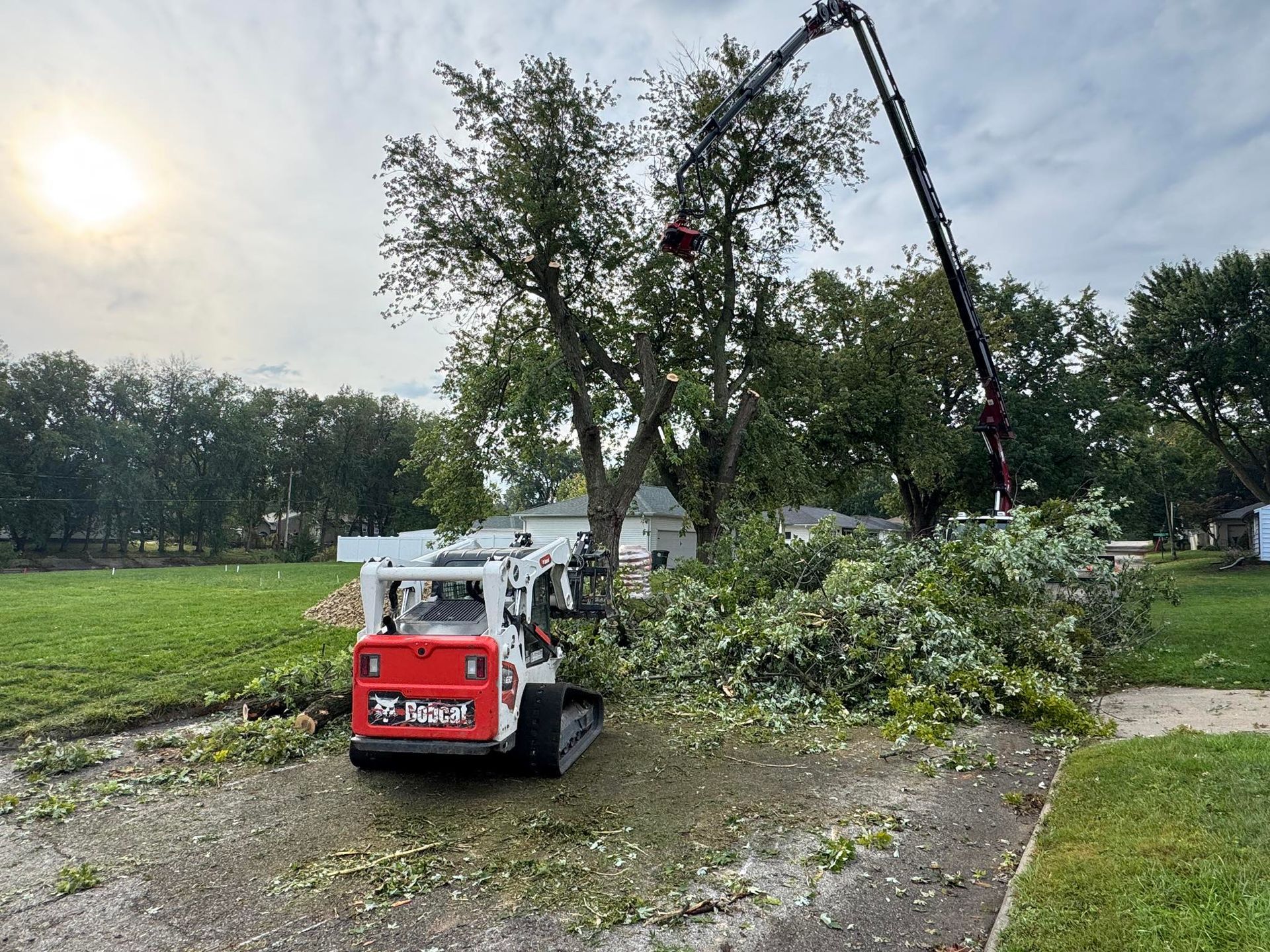 Bobcat skid steer with tree removal equipment, cutting branches from a large tree.