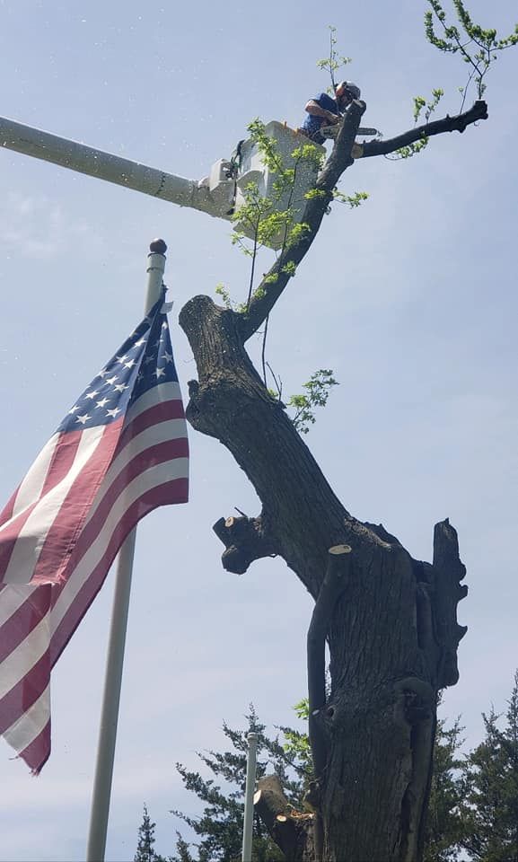 An american flag is hanging from a pole next to a tree