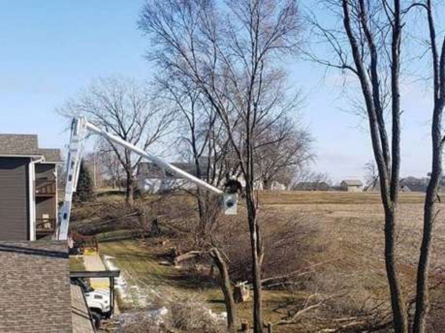 A crane is cutting a tree in front of a house.