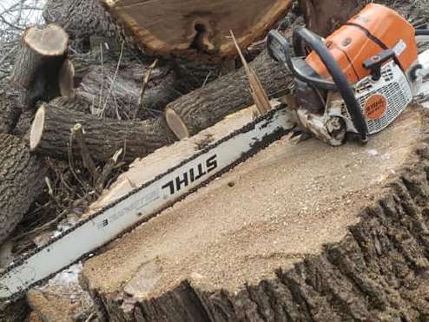A chainsaw is sitting on top of a tree stump.