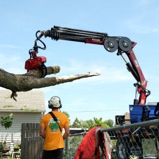 A man is standing next to a crane that is lifting a tree branch.