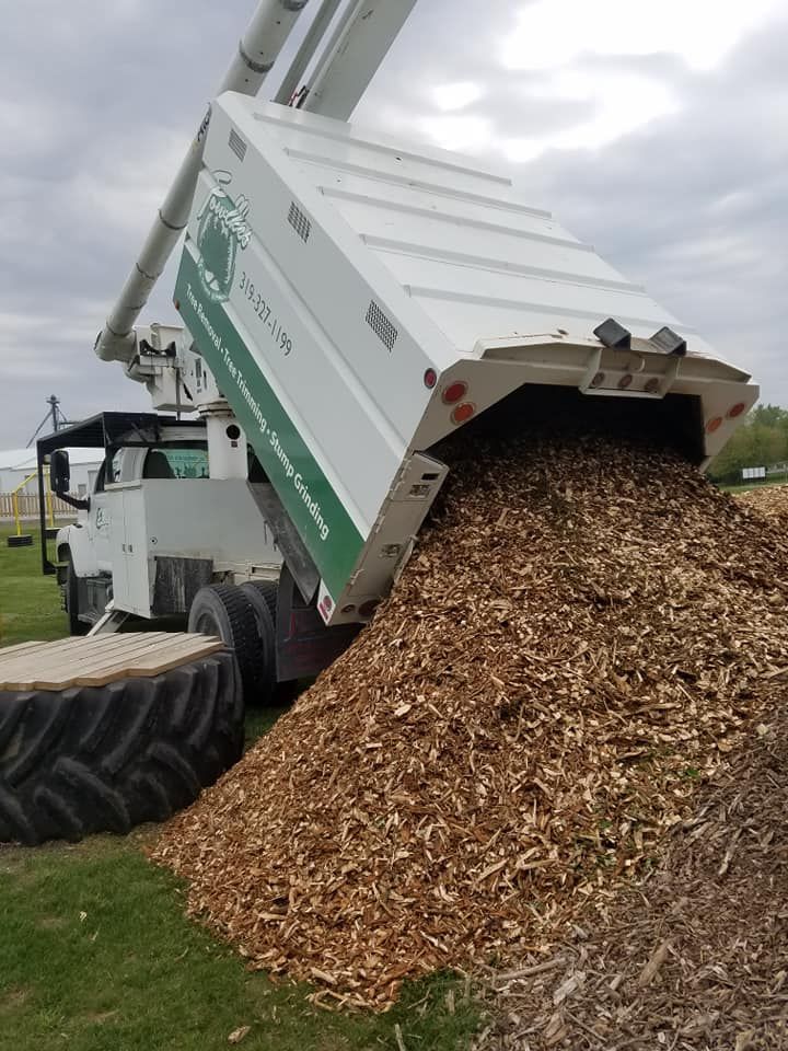 A large pile of wood chips is being loaded into a truck.