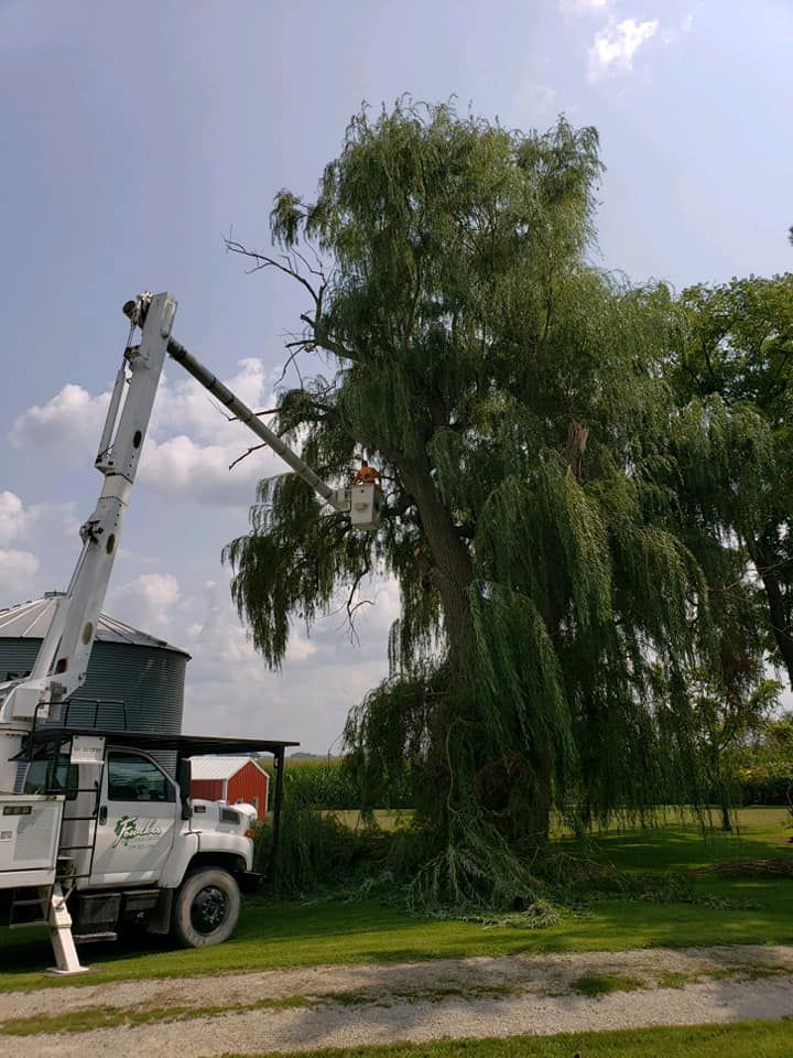 A white truck with a crane attached to it is cutting a tree.