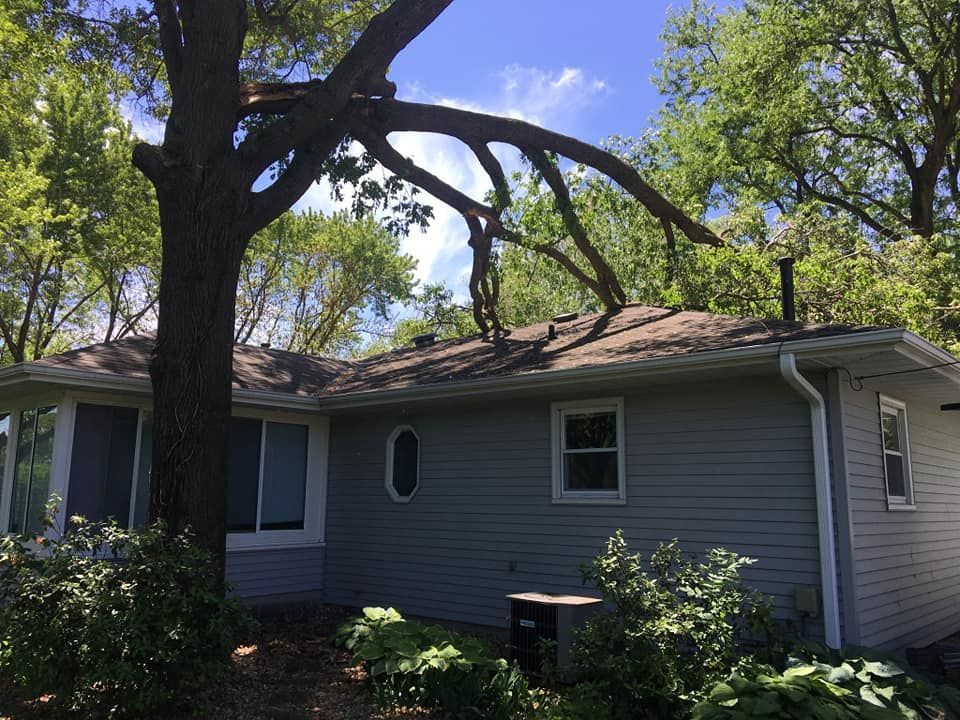 A house with a tree in front of it