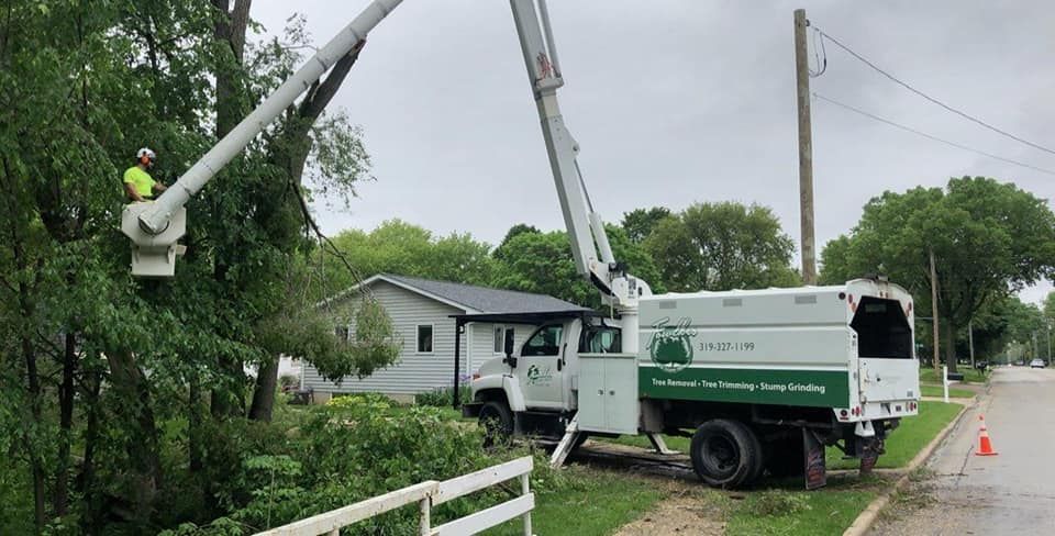 A man is cutting a tree with a crane in front of a house.