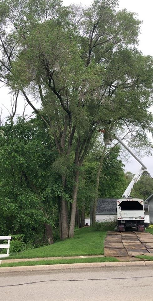 A white truck is cutting a tree in front of a house.
