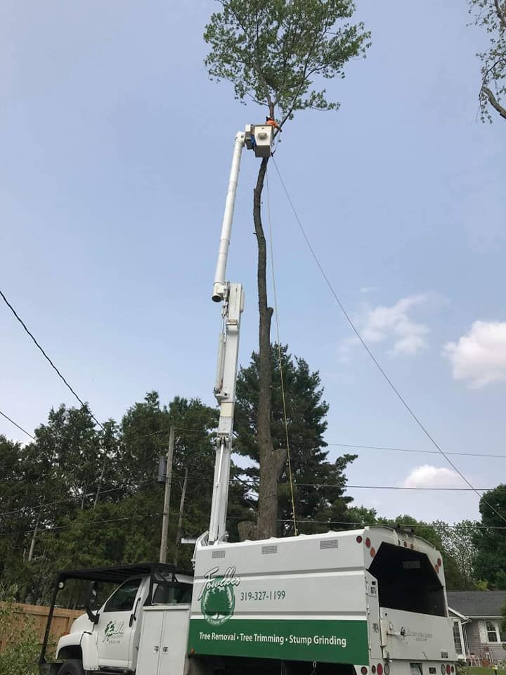 A white truck with a crane attached to it is cutting a tree.