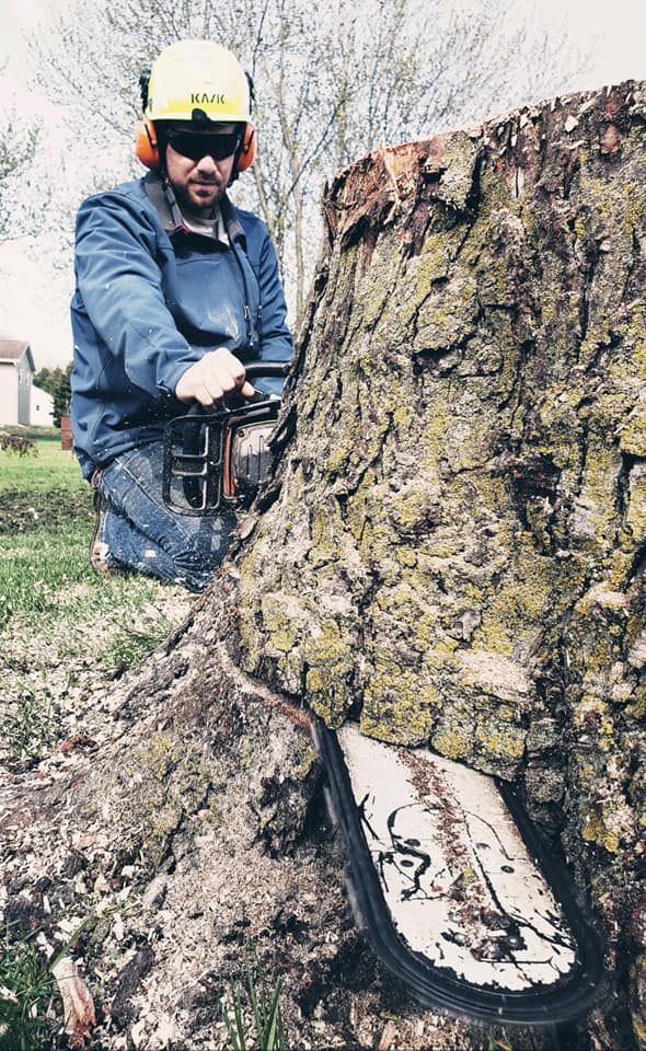 A man is cutting a tree stump with a chainsaw.